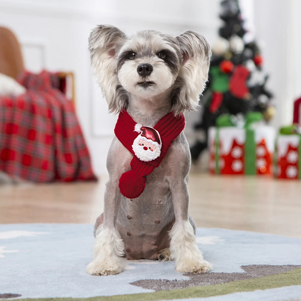 Winter Warm Puppy Dog Cat Scarf Christmas Cute Pet Accessories for Small Medium Dogs Poodle Yorkshire Scarves Mascotas Products