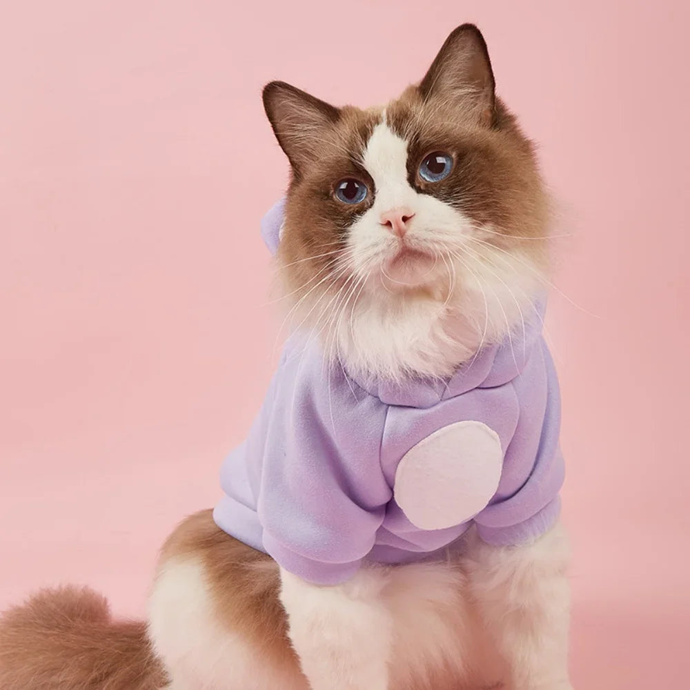 Cute Hairless Cat Clothes Winter Pet Costumes for Cats Kitten Sphynx Hoodie Sweater Mascotas Outfits Dog Clothing Katten Kleding